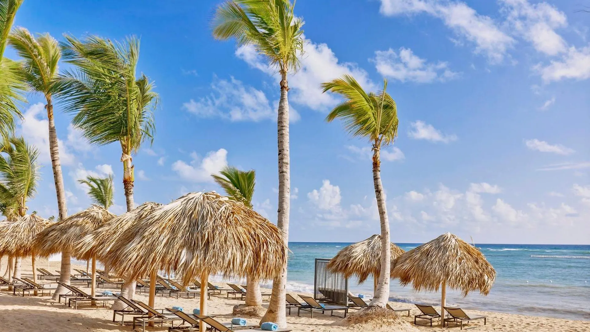 Resort Live Aqua Punta Cana (Adults Only)